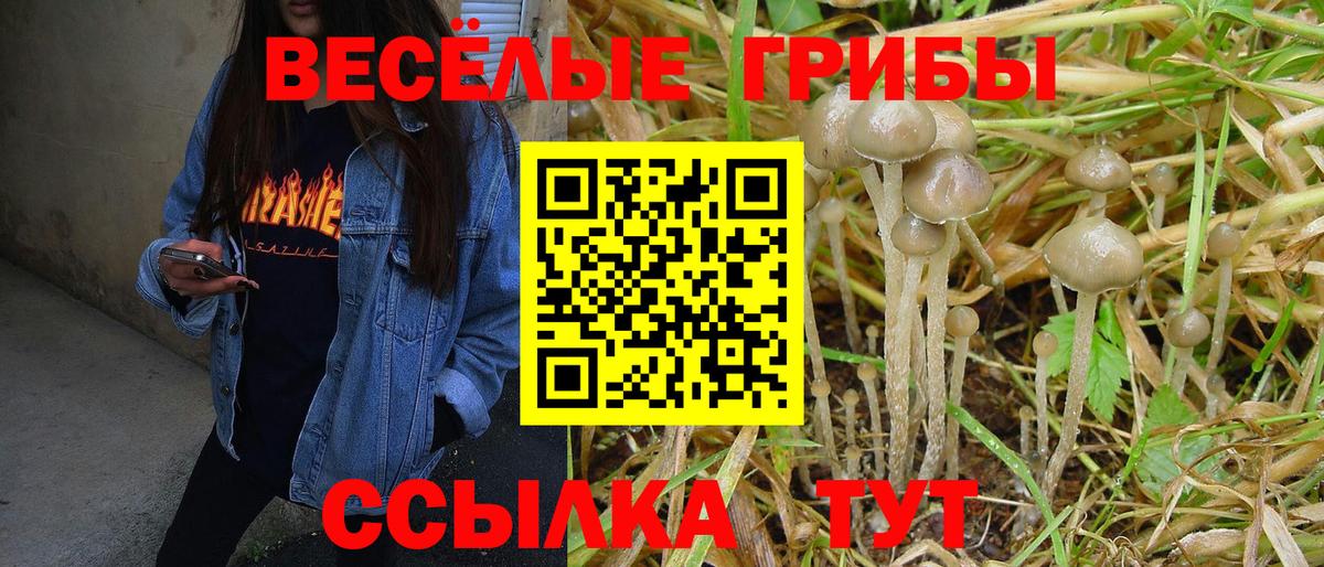 Галлюциногенные грибы мухоморы Тельмана