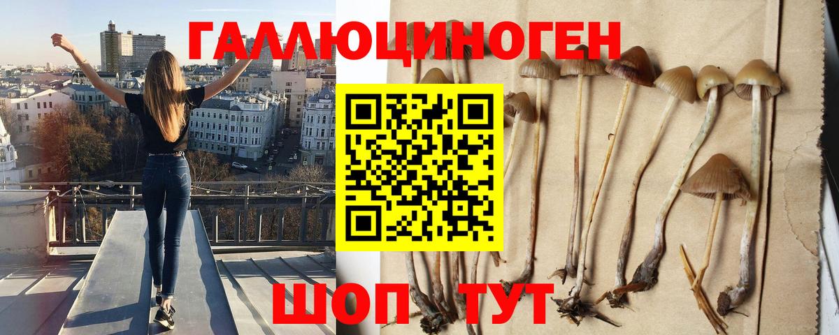 Галлюциногенные грибы MAGIC MUSHROOMS  Псилоцибиновые грибы мицелий  Вход с VPN  Тельмана 